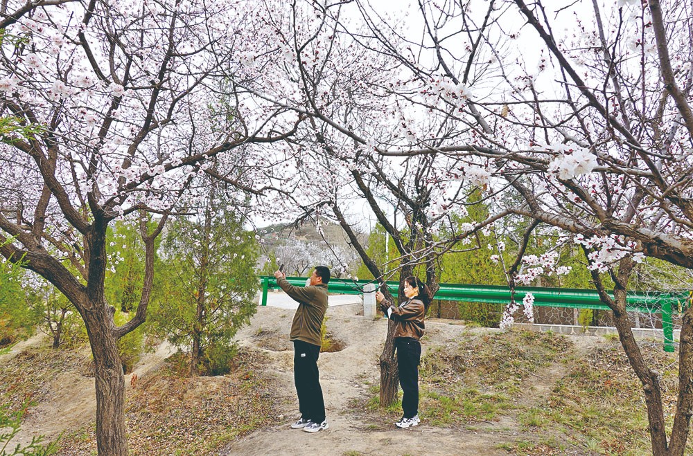 1712892213919543.jpg 4-3.jpg