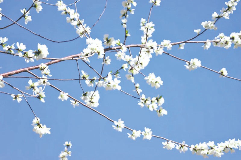 1712892273350236.jpg 4-4.jpg