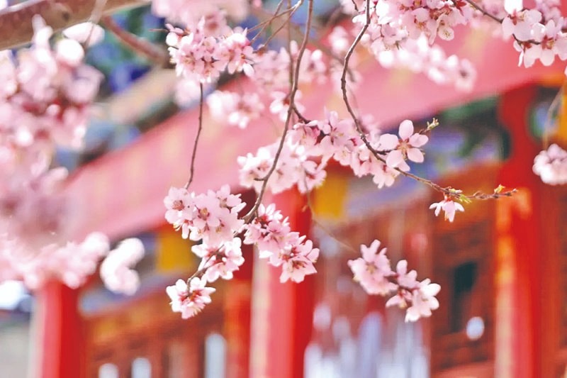 1712892308269502.jpg 4-5.jpg