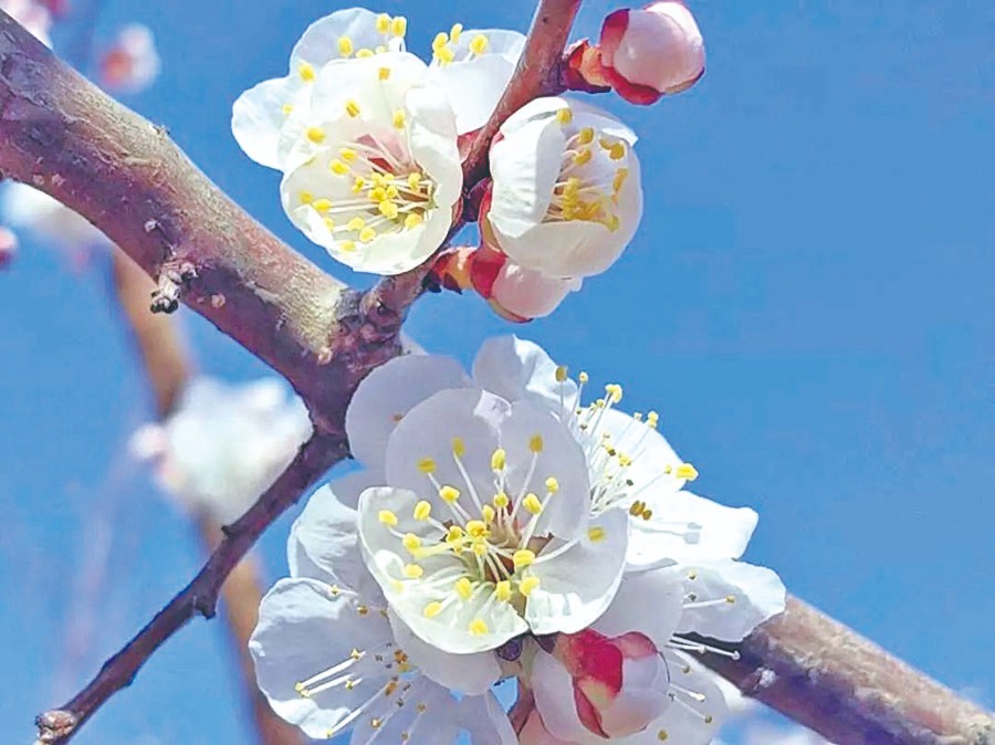 1712892333384554.jpg 4-6.jpg