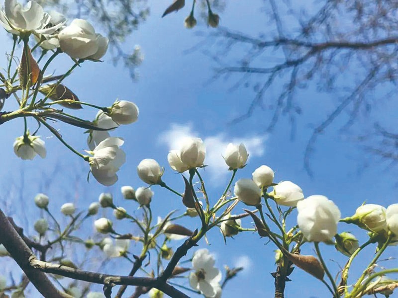 1712892368394706.jpg 4-7.jpg