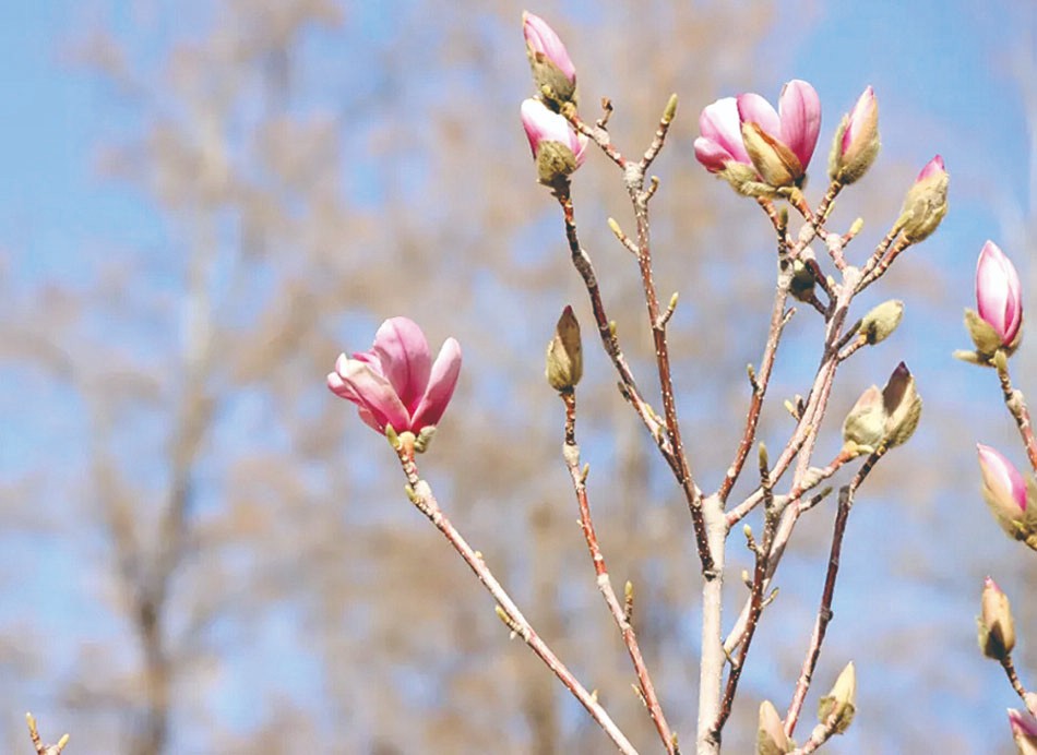 1712892398511288.jpg 4-8.jpg