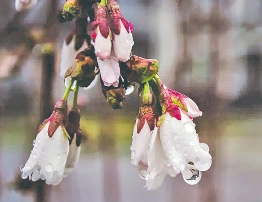 1712892427153441.jpg 4-9.jpg