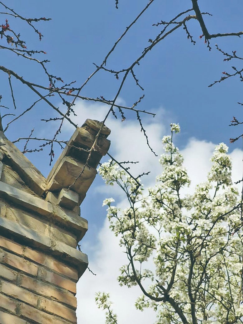 1712892505509667.jpg 4-12.jpg