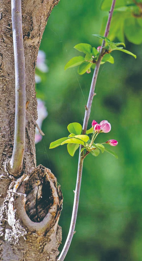 1714959993608313.jpg 4-9.jpg