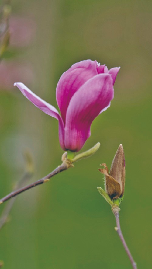 1714960030991771.jpg 4-3.jpg