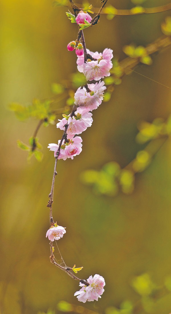 1714960053225824.jpg 4-1.jpg