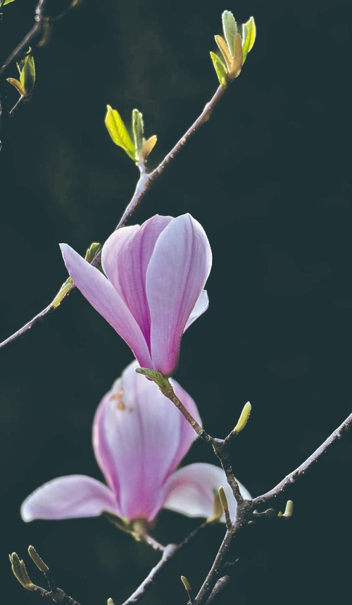 1714960077639009.jpg 4-2.jpg