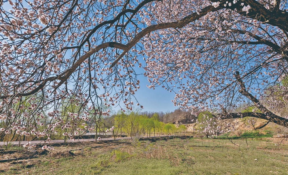 1714960246179221.jpg 4-7.jpg