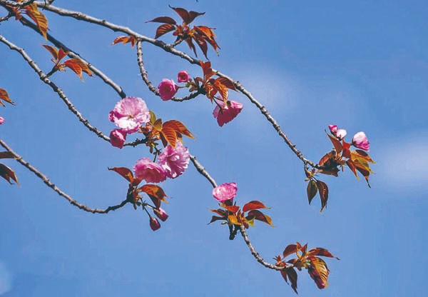 1714960325101307.jpg 4-10.jpg