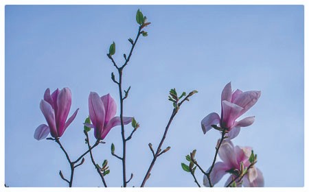 1714960376107829.jpg 4-5.jpg