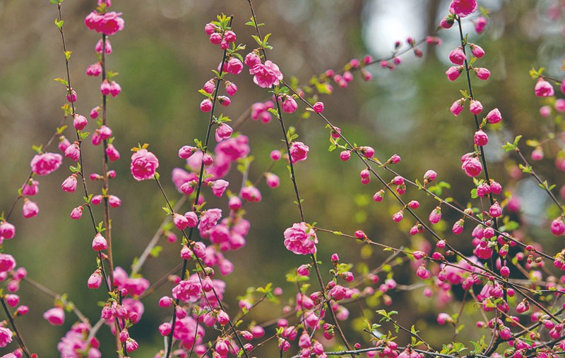 1714960417838202.jpg 4-4.jpg