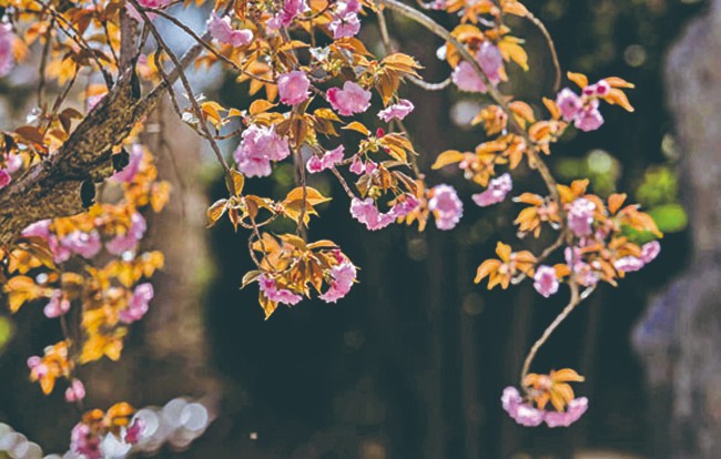 1714960529559437.jpg 4-11.jpg