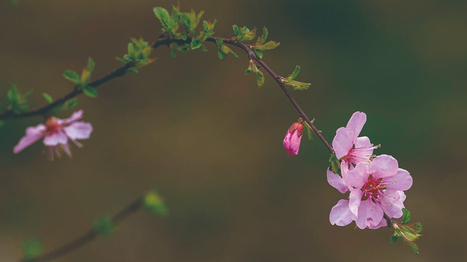 1714960637923305.jpg 4-12.jpg