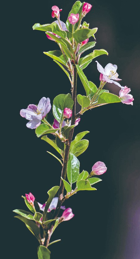 1714960673713868.jpg 4-8.jpg