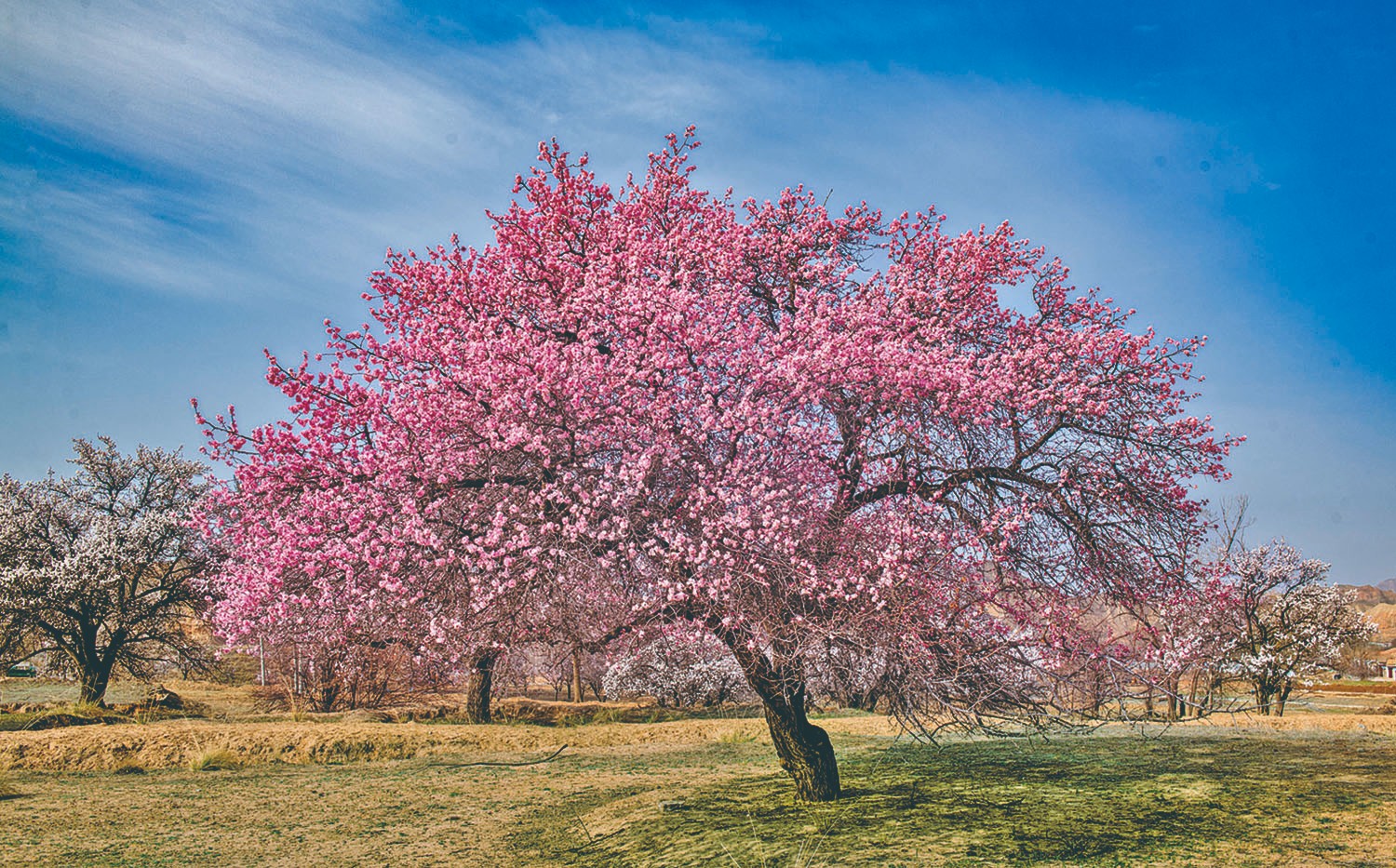 1714960734107474.jpg 4-6.jpg