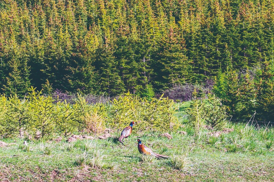 1718160440181428.jpg 4-10.jpg