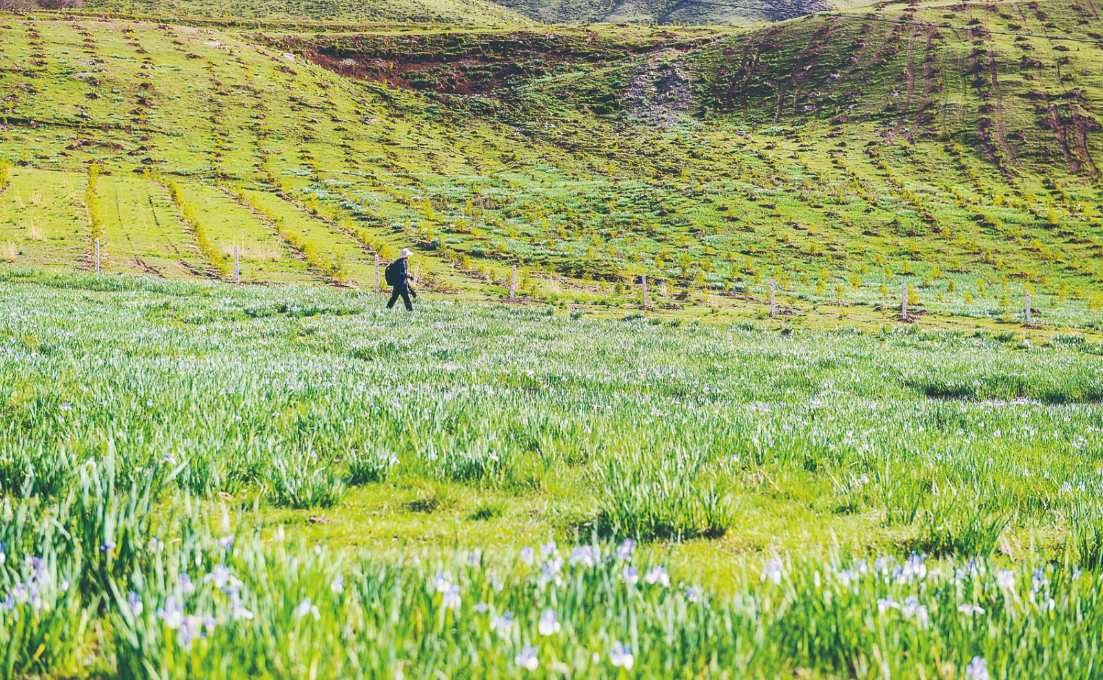 1718160473616414.jpg 4-9.jpg