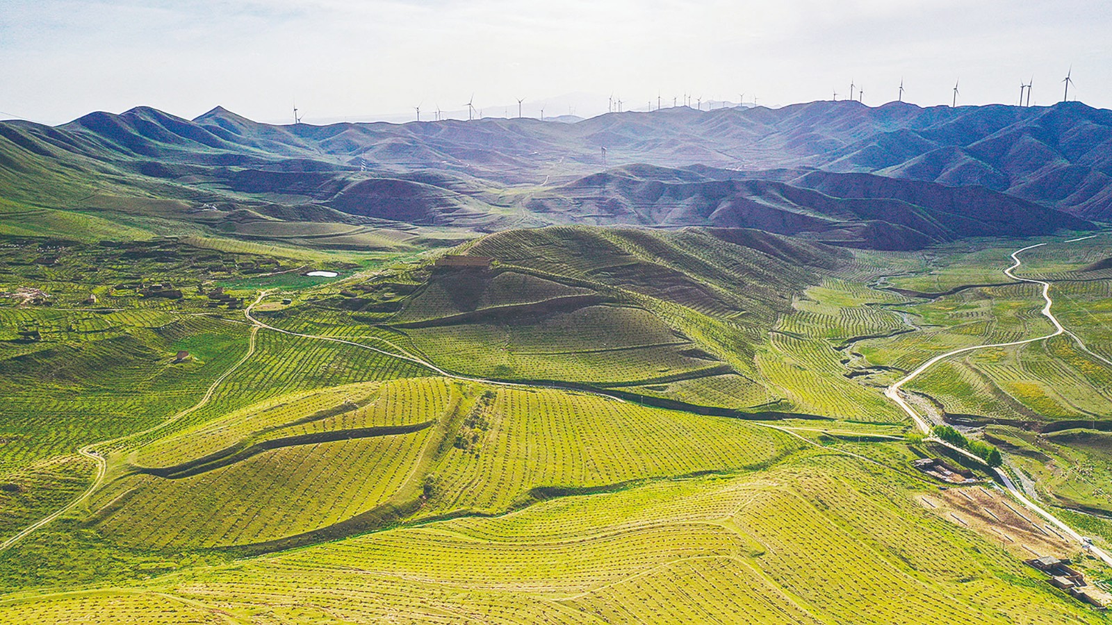 1718161157497058.jpg 440.jpg