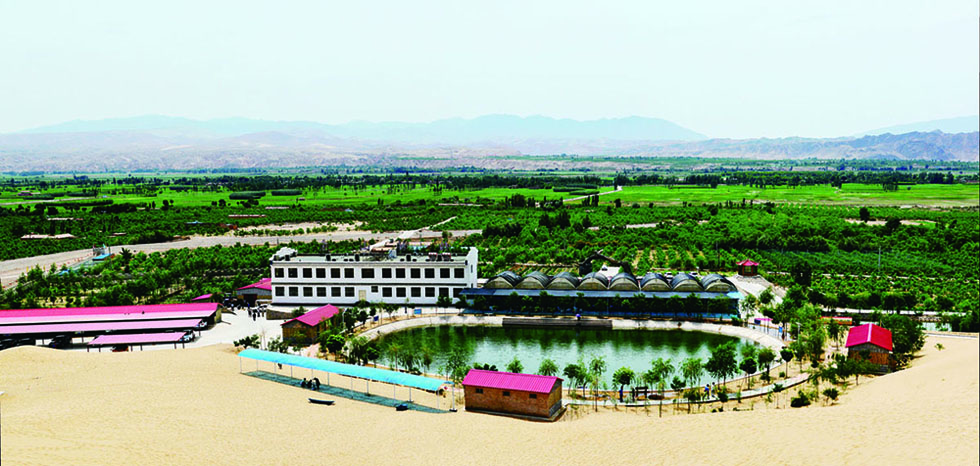 1726800926716462.jpg 4-1.jpg